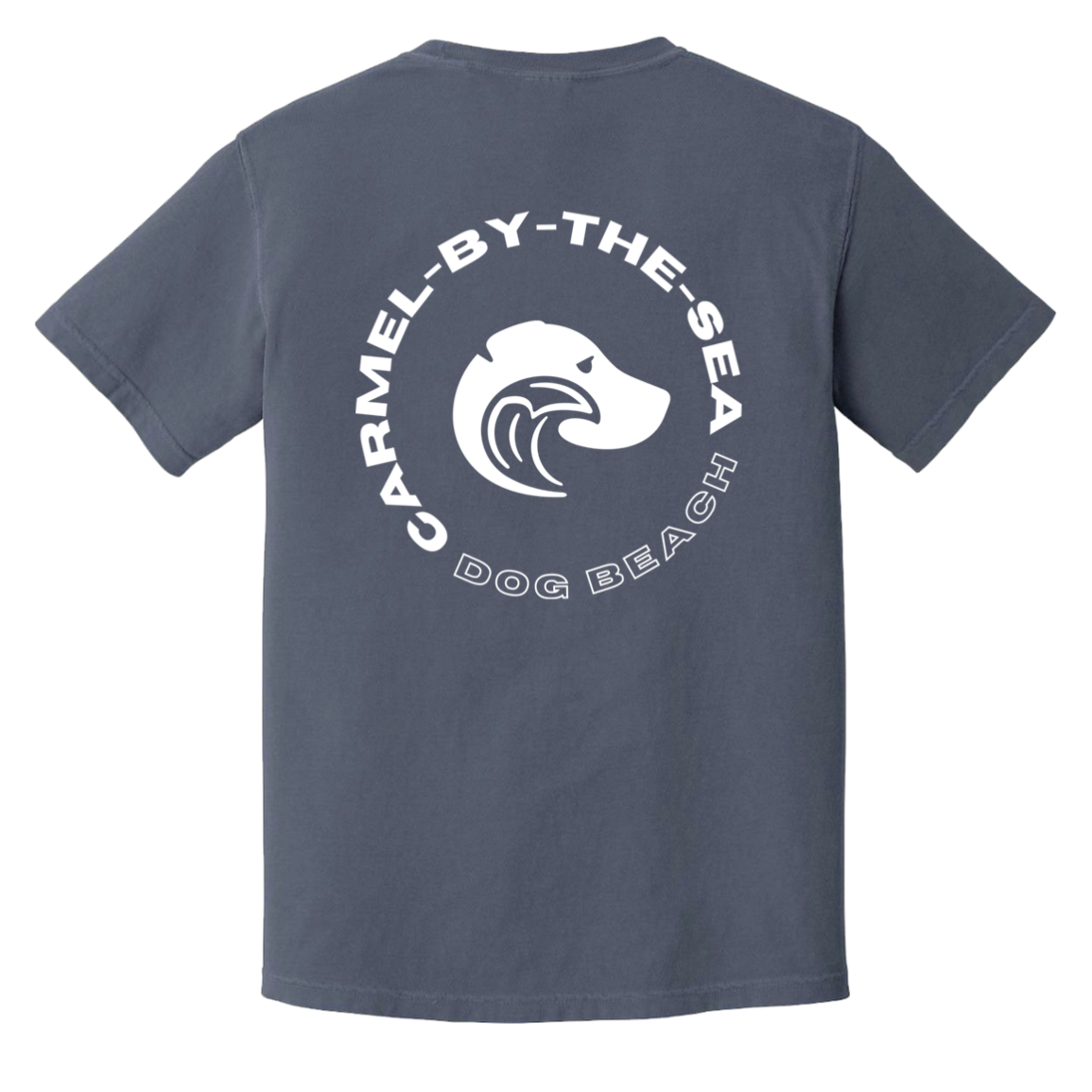 Carmel_Dog_Beach_Relaxed_Tshirt_Denim