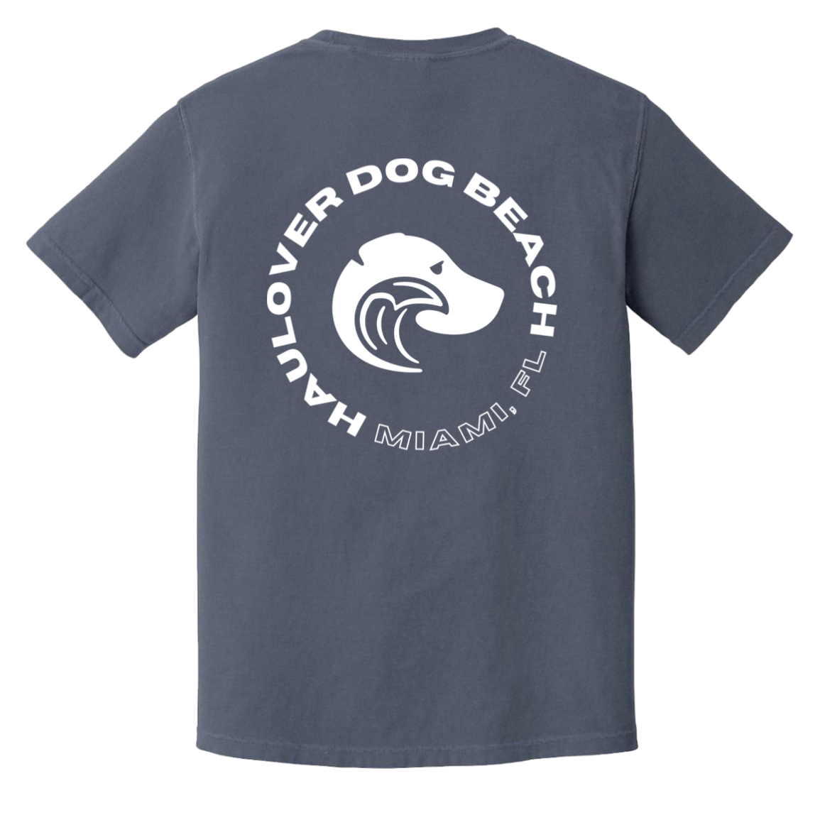 Haulover Dog Beach Tshirt Denim