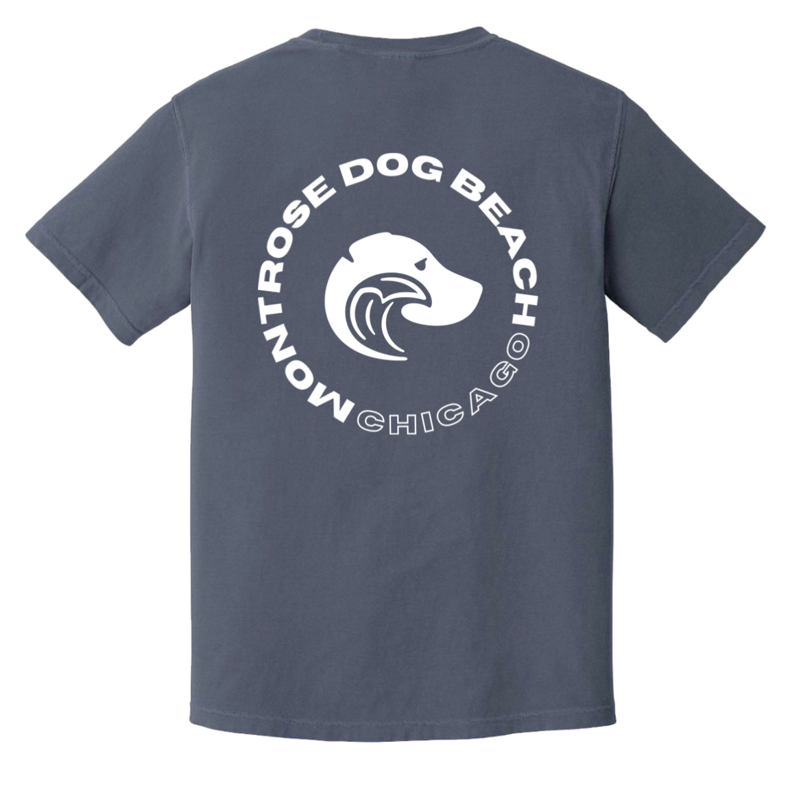 Montrose Dog Beach Tshirt Denim