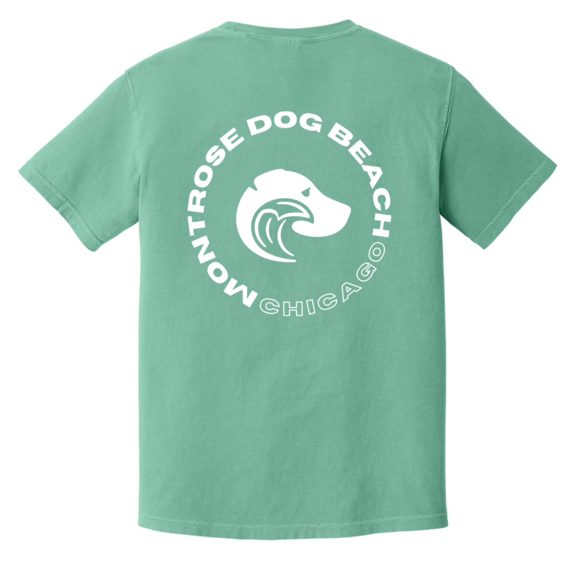 Montrose Dog Beach Tshirt Seafoam