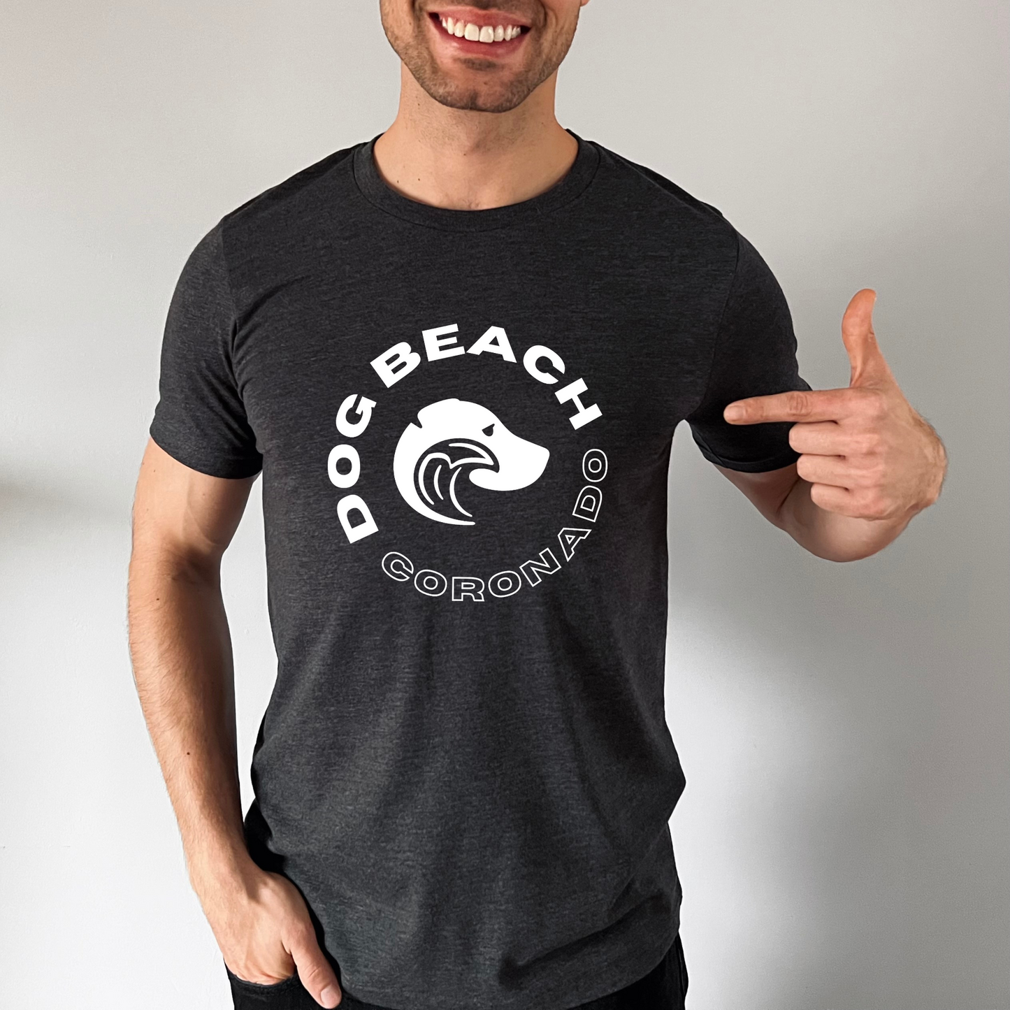 Coronado Dog Beach Triblend T-Shirt Mens Modeled