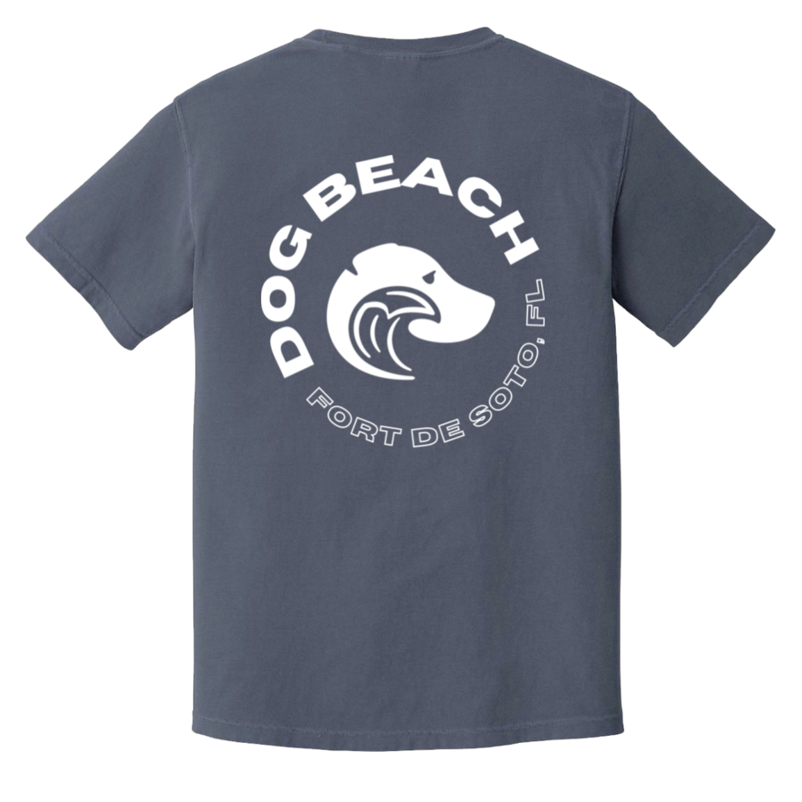 Fort De Soto_Dog_Beach_Relaxed_Tshirt_Denim