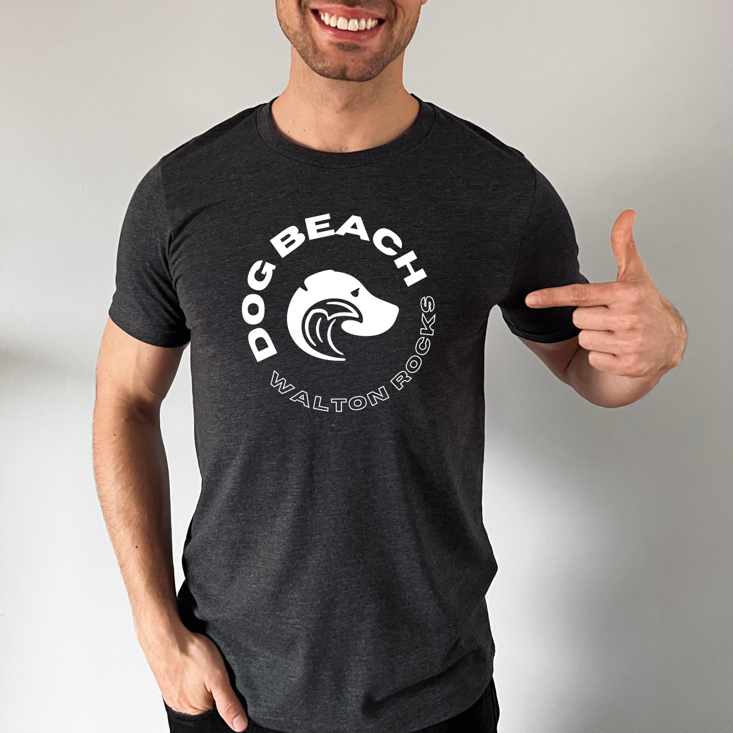 Walton Rocks Dog Beach T-Shirt Triblend Mens  Modeled